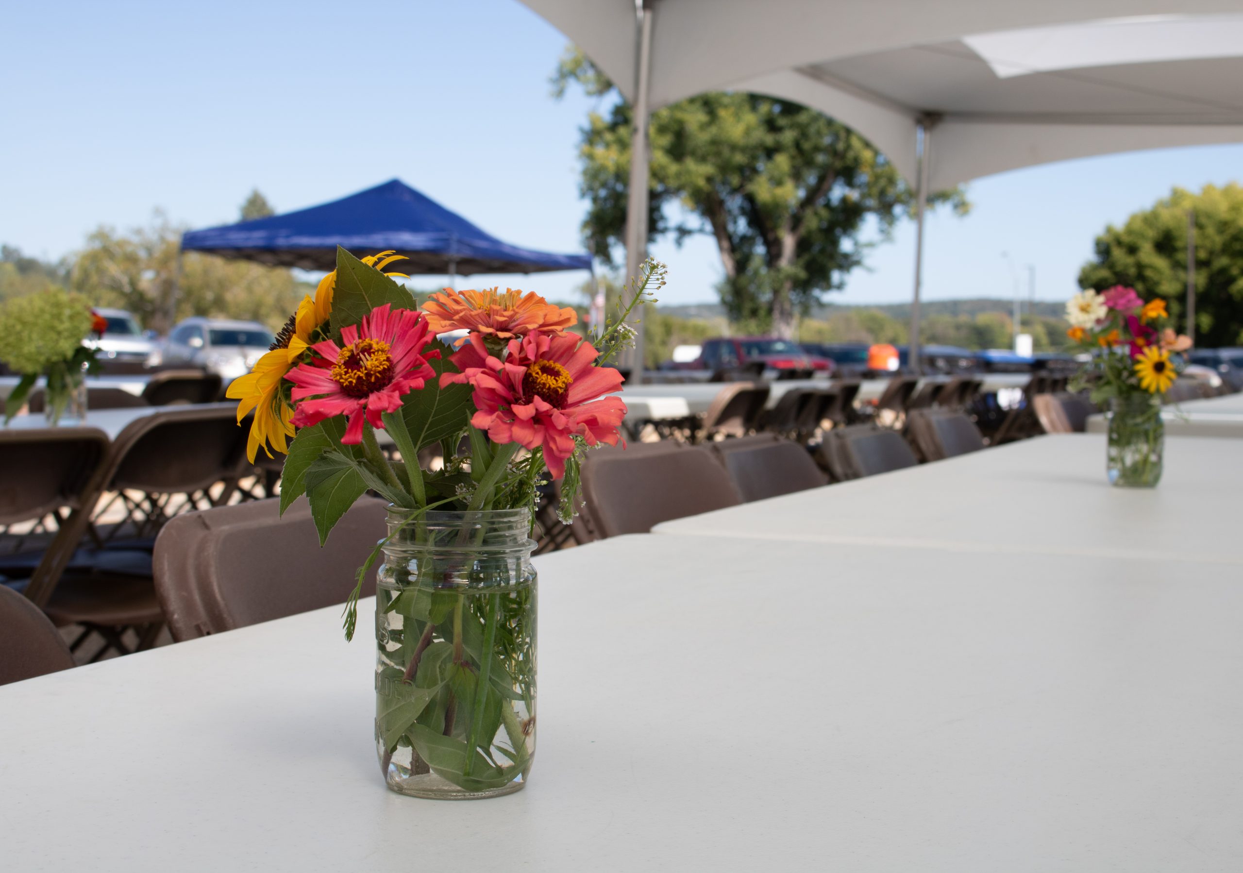 Grand Community Picnic